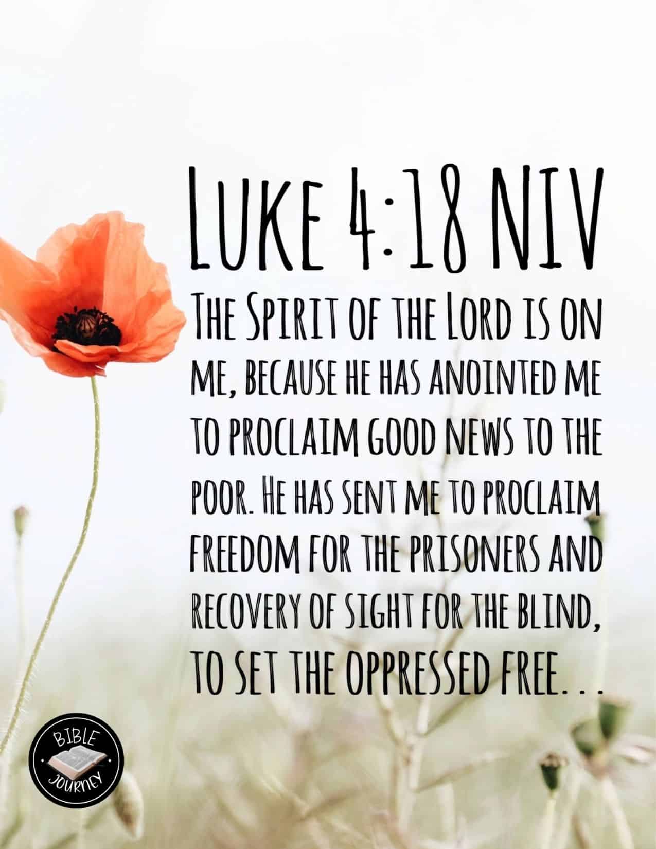 Luke Niv Bible Verse About Freedom