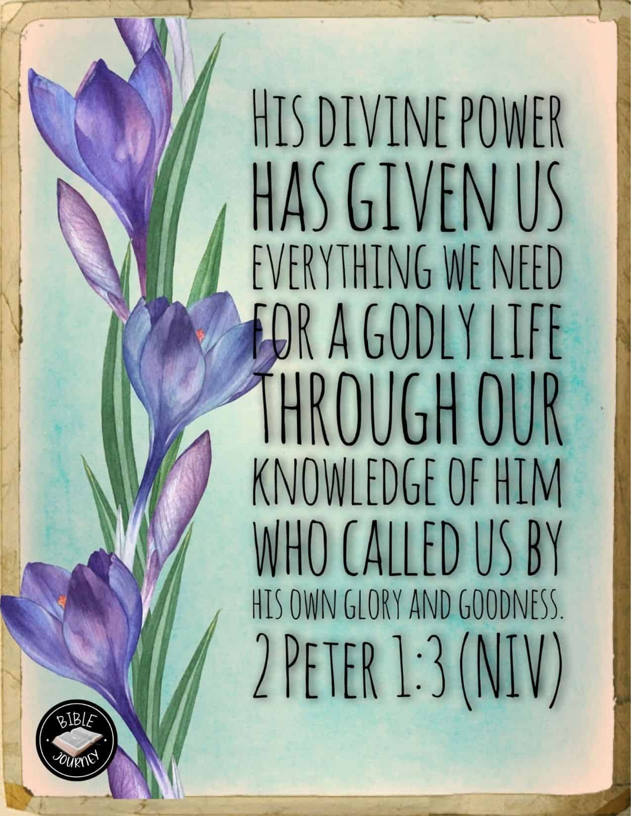 2-peter-1-3-picture-bible-verse