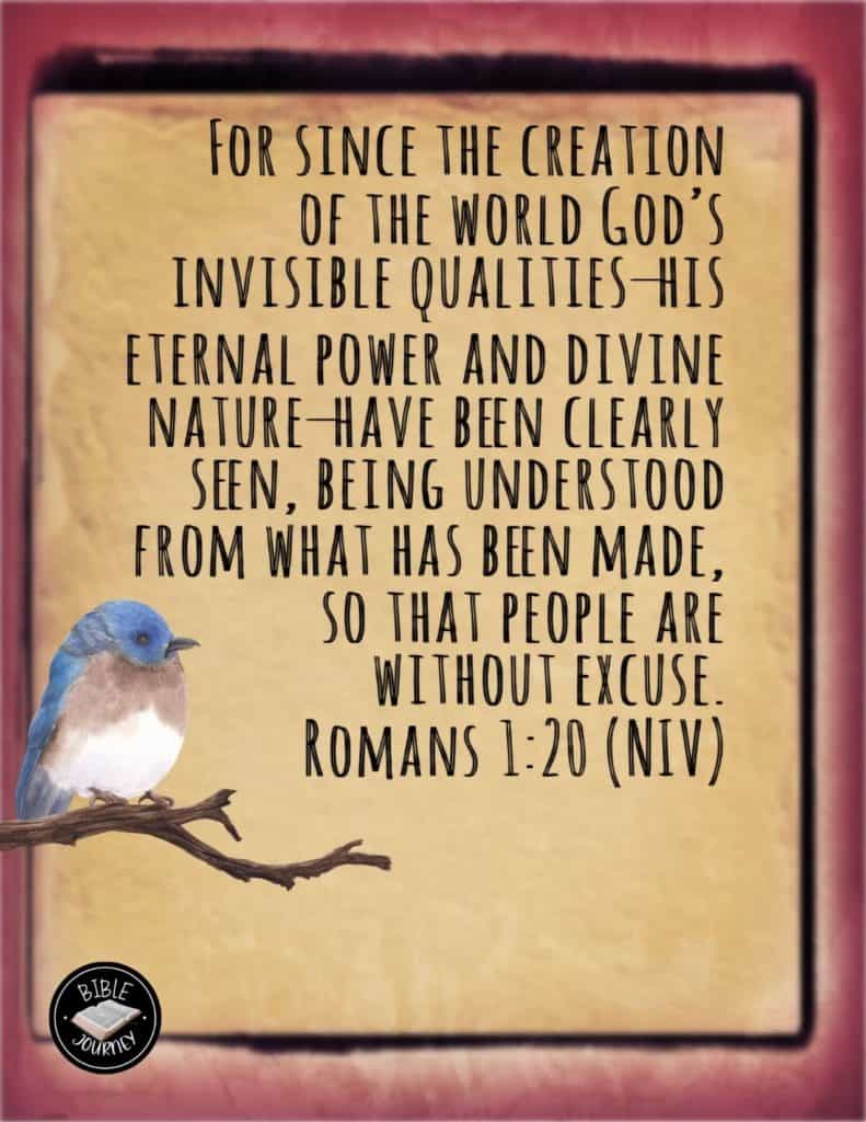 Romans 1 24 28 Meaning