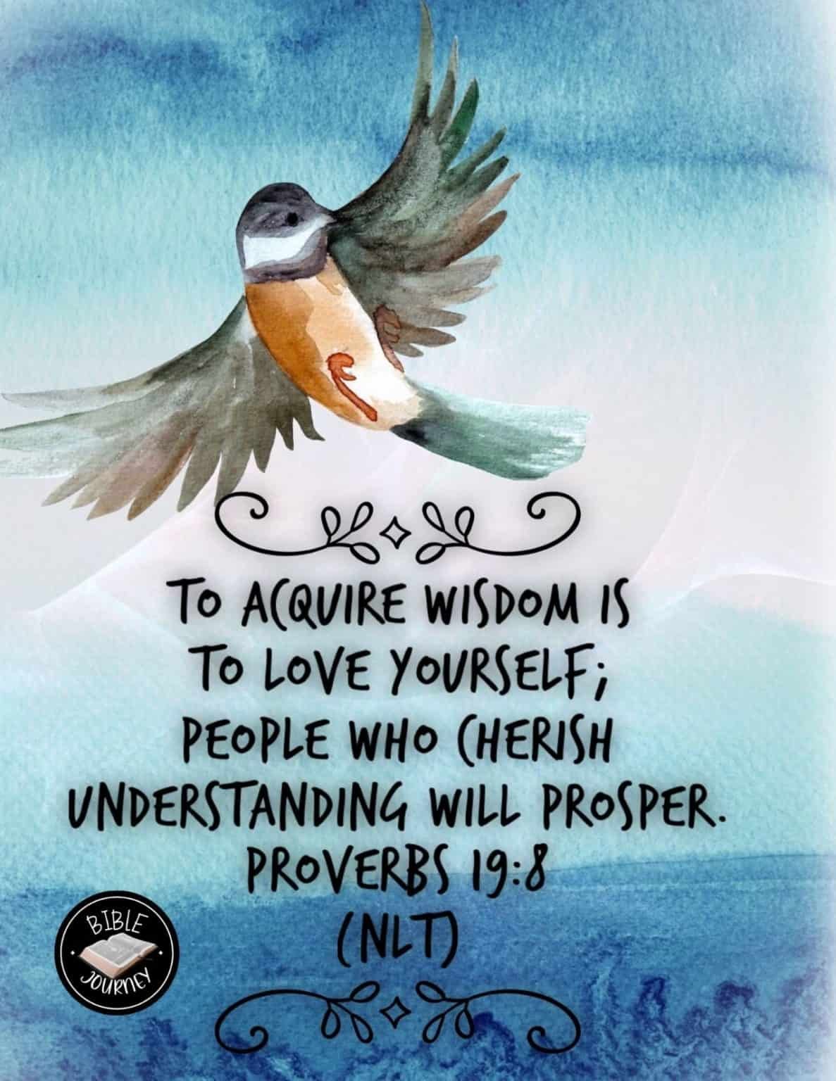 Random Bible Verses: Finding Comfort in God's Word