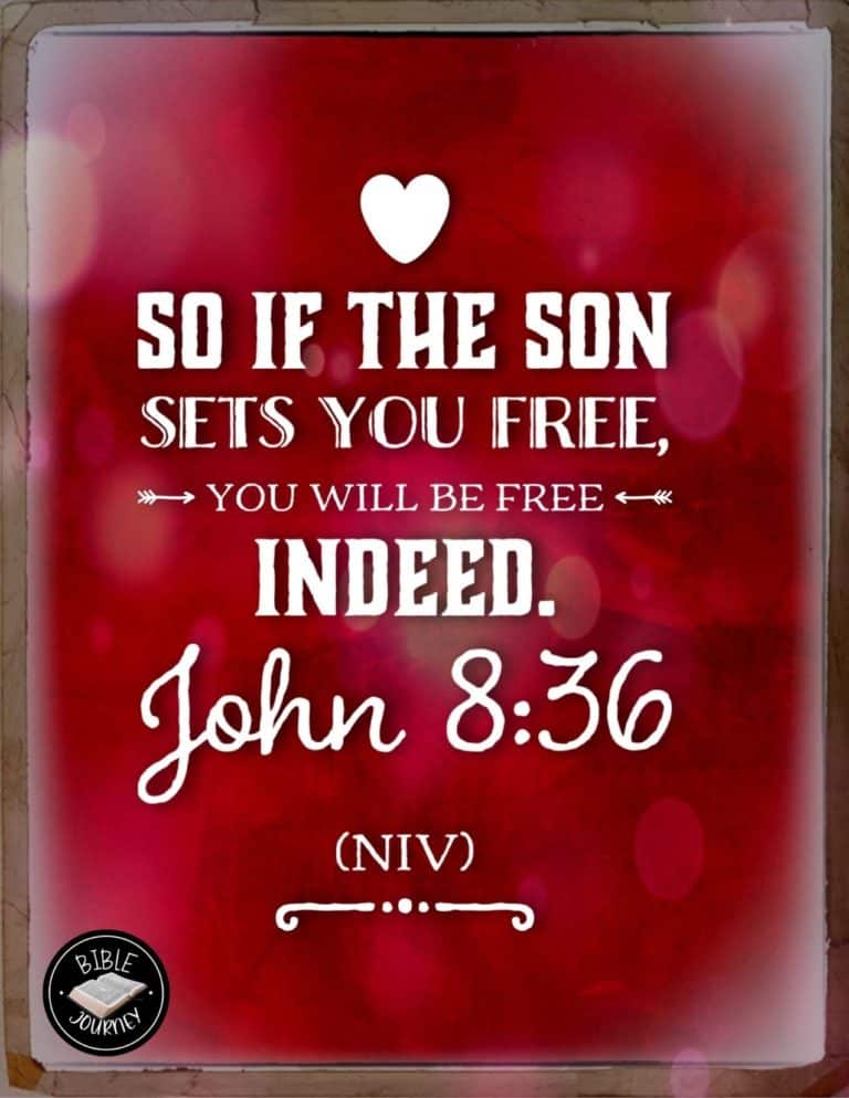 John 8:36 NIV Picture Bible Verse