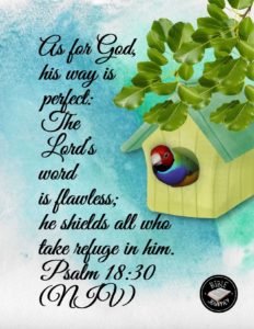 Random Bible Verses: Finding Comfort in God's Word