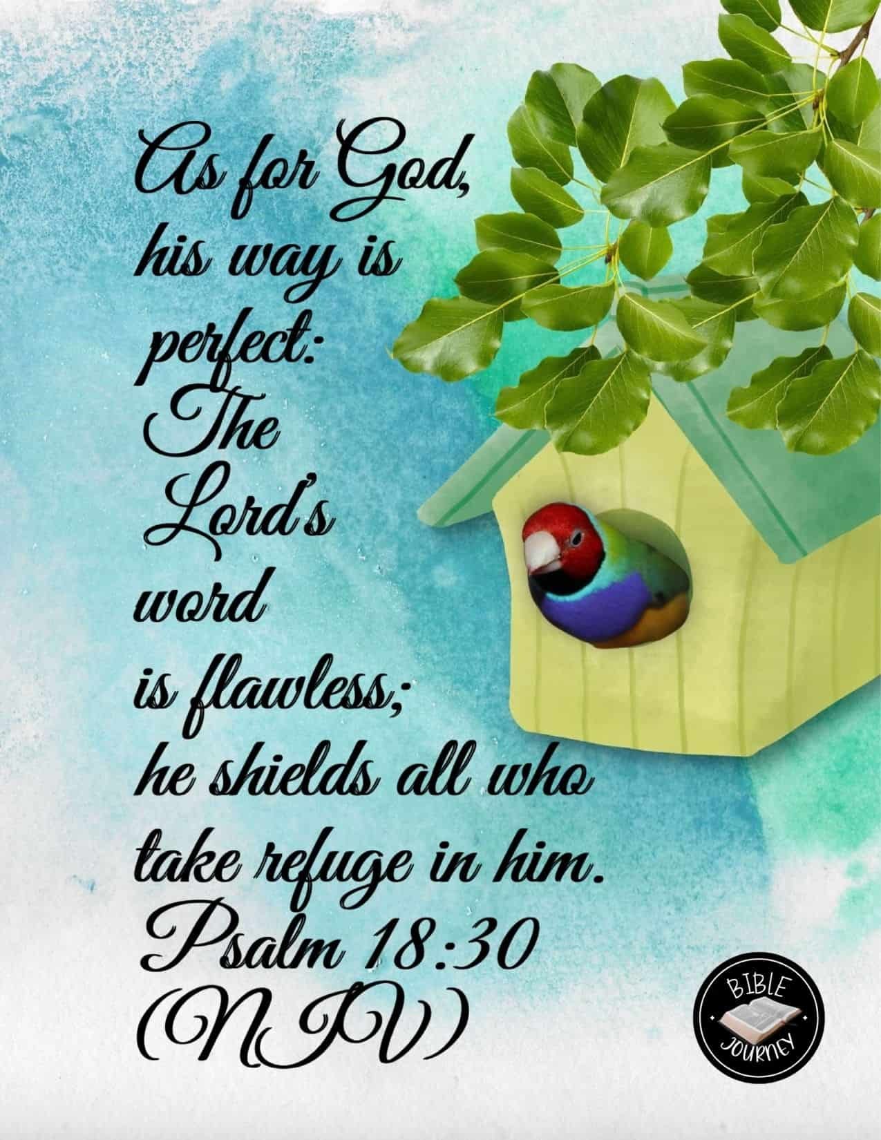Psalm 18 30 NIV Picture Bible Verse