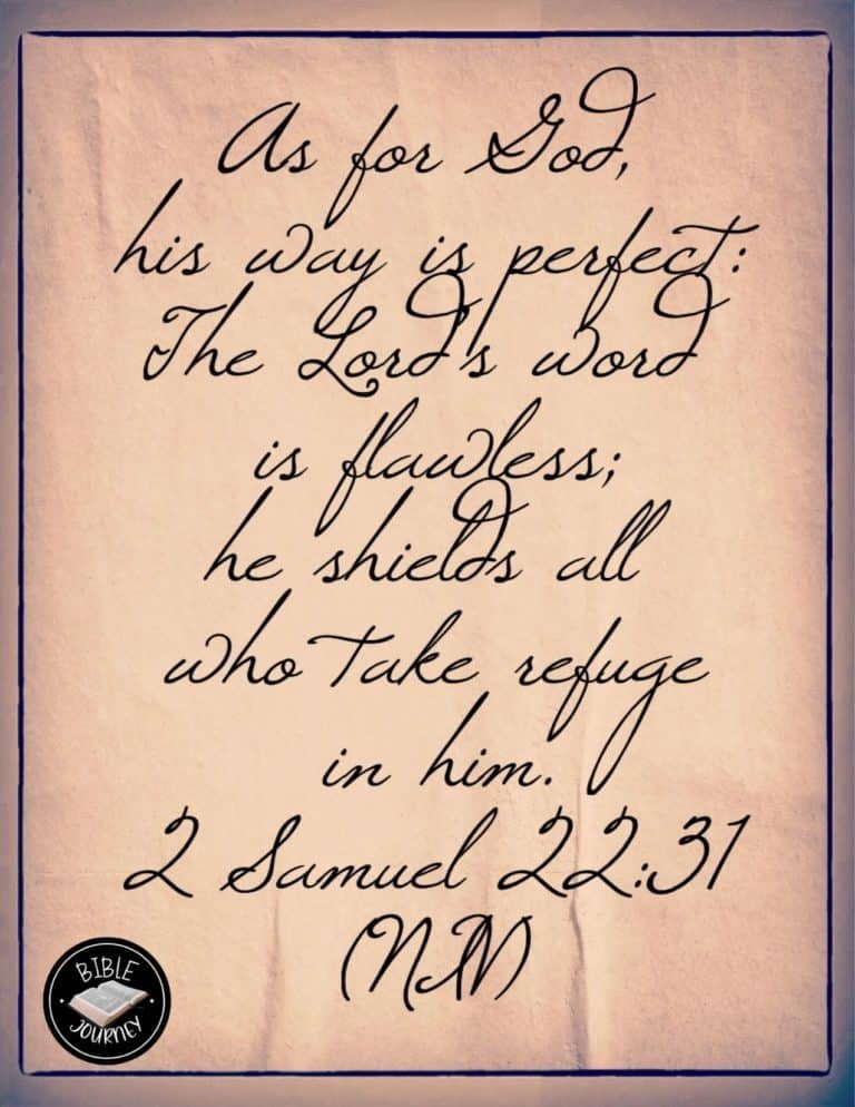 2 Samuel 22:31 NIV Picture Bible Verse