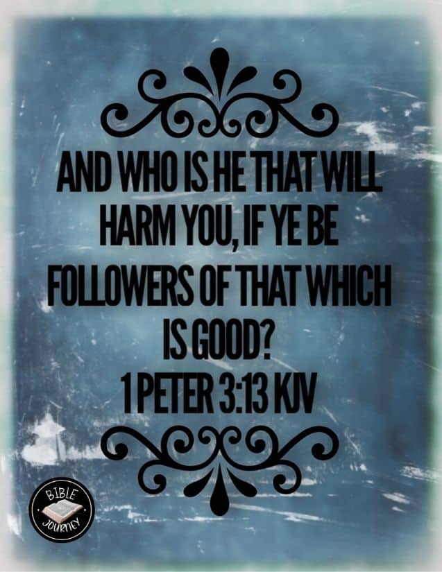 1-peter-3-13-kjv-bible-verse-image-picture-bible-verses