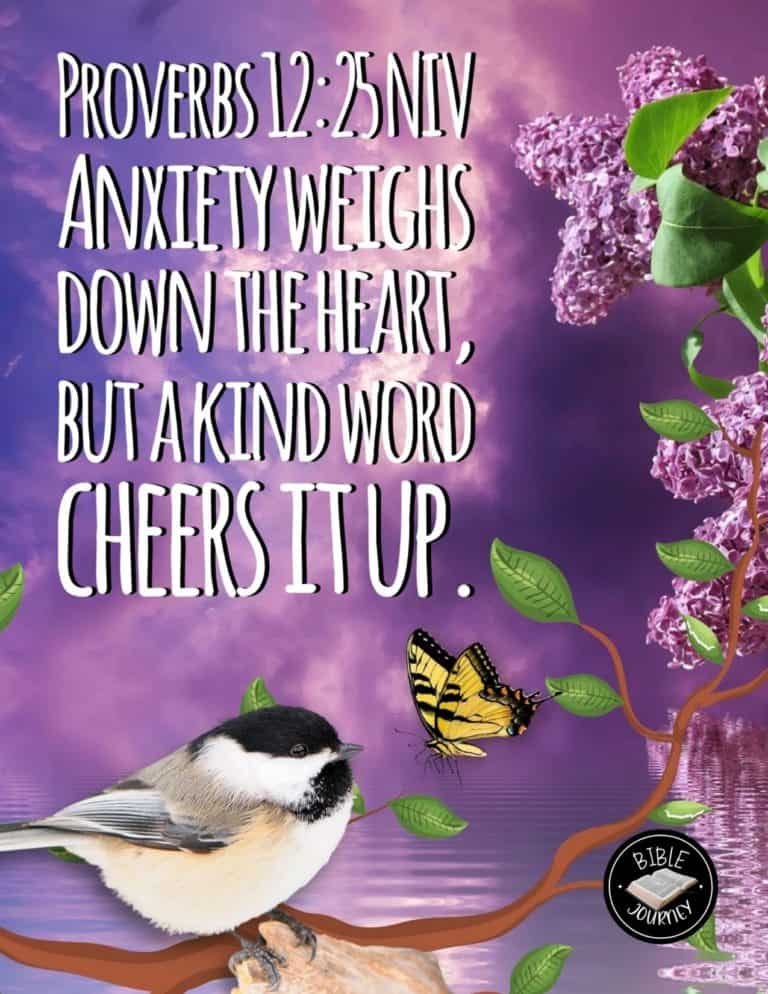Picture Bible Verses-10 Share a picture bible verse. Use in bible study journals, or make study cards. Postcard sized 4.25x5.5.