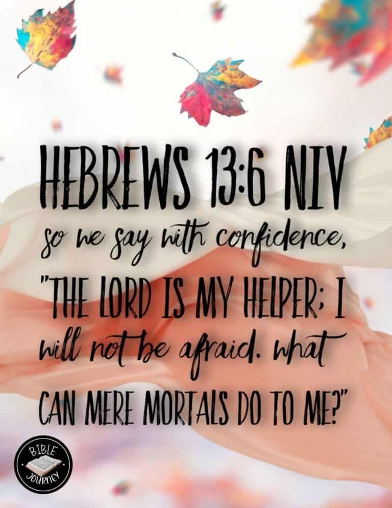 Picture Bible Verses-10 Share a picture bible verse. Use in bible study journals, or make study cards. Postcard sized 4.25x5.5.