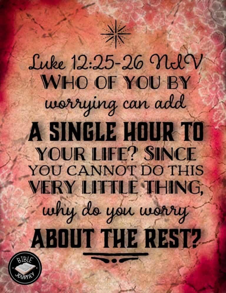 Picture Bible Verses-10 Share a picture bible verse. Use in bible study journals, or make study cards. Postcard sized 4.25x5.5.