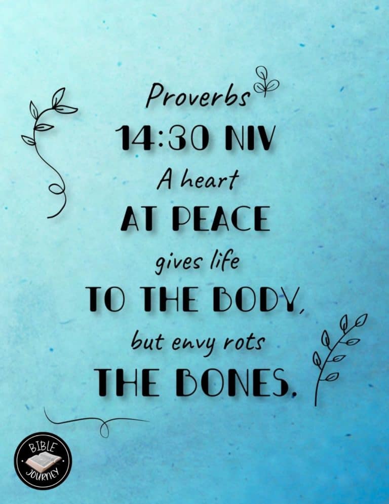 Random Bible Quote - Proverbs 14:30 NIV
