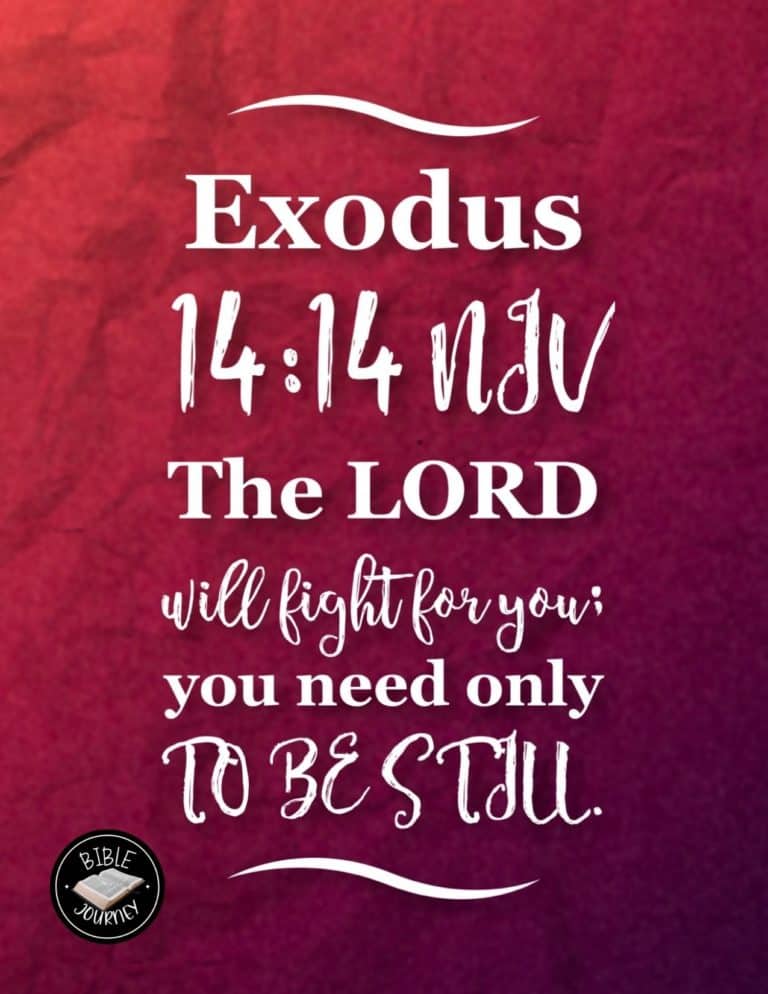 God's Promises - Exodus 14:14 NIV
