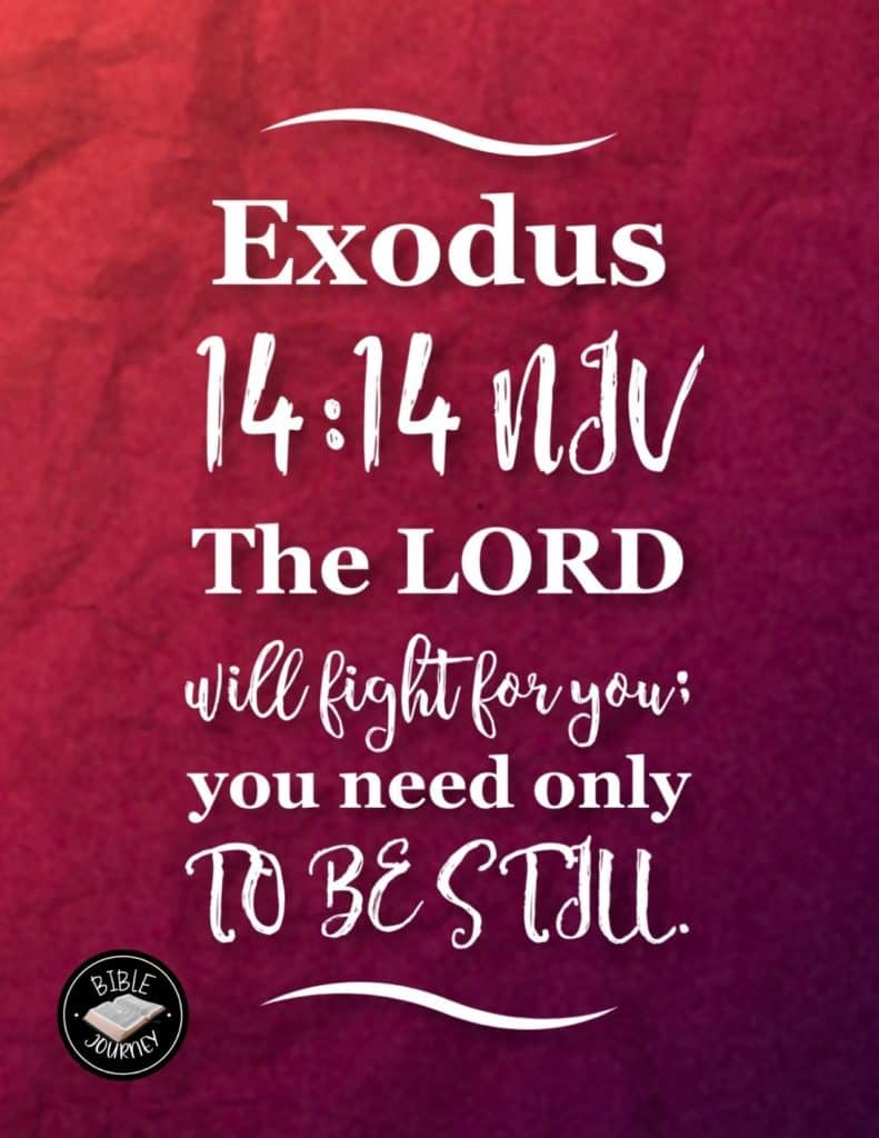 exodus-14-14-niv-god-s-promises-picture-bible-verses