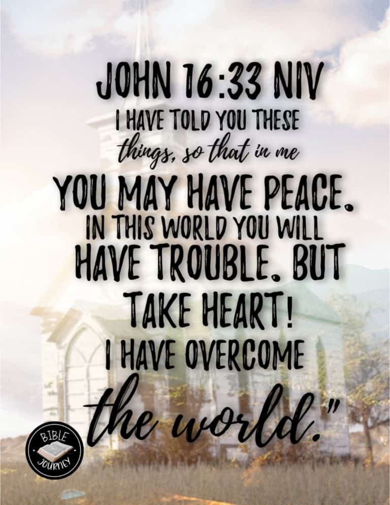 Picture Bible Verses-12 John 16:33 NIV. Bible Verse on Image.