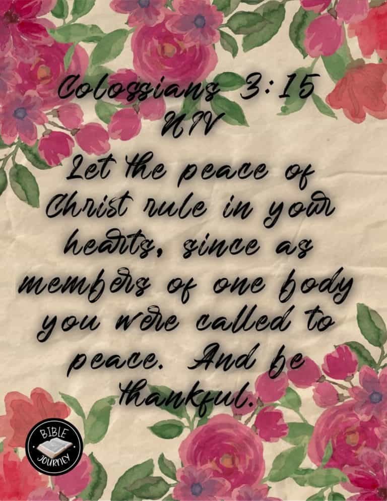 Picture Bible Verses-12 Colossians 3:15 NIV - Bible Verse on Picture Background.