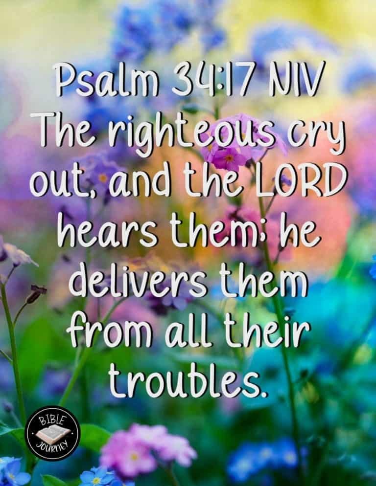 Picture Bible Verses-12 Psalm 34:17 NIV - Picture Bible Verse