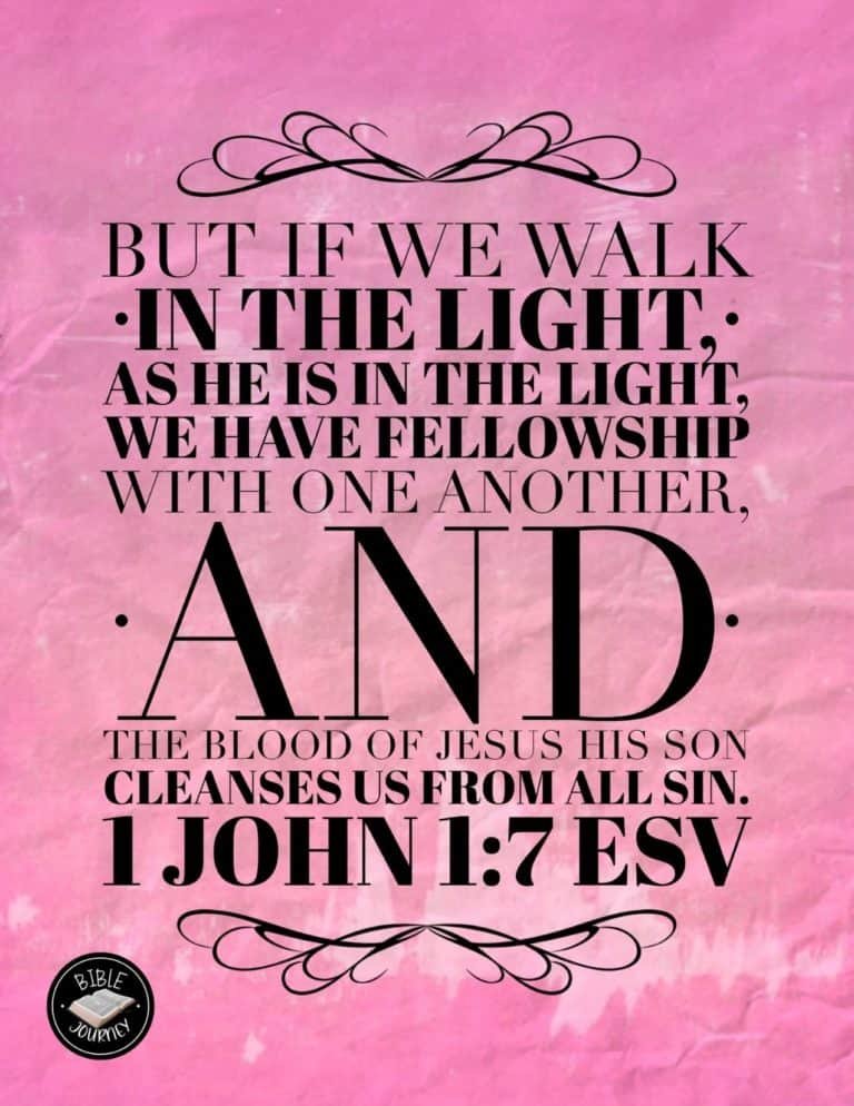 Hundreds of Beautiful Picture Bible Verses-5 1 John 1:7 ESV Picture Bible Verse