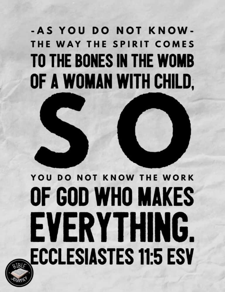 Hundreds of Beautiful Picture Bible Verses-5 Ecclesiastes 11:6 ESV Picture Bible Verse
