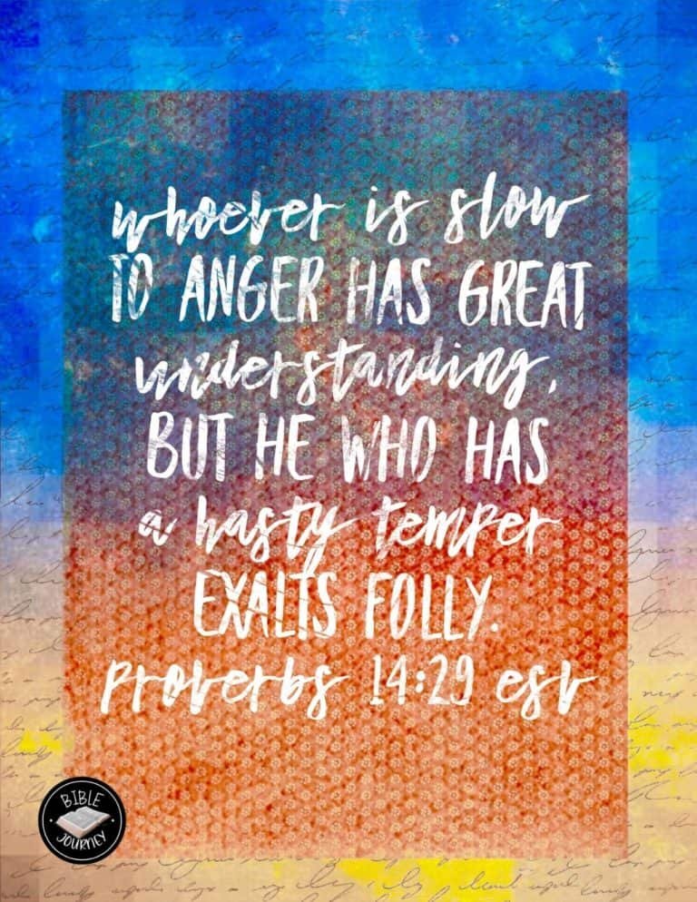 Hundreds of Beautiful Picture Bible Verses-5 Proverbs 14:29 ESV Picture Bible Verse