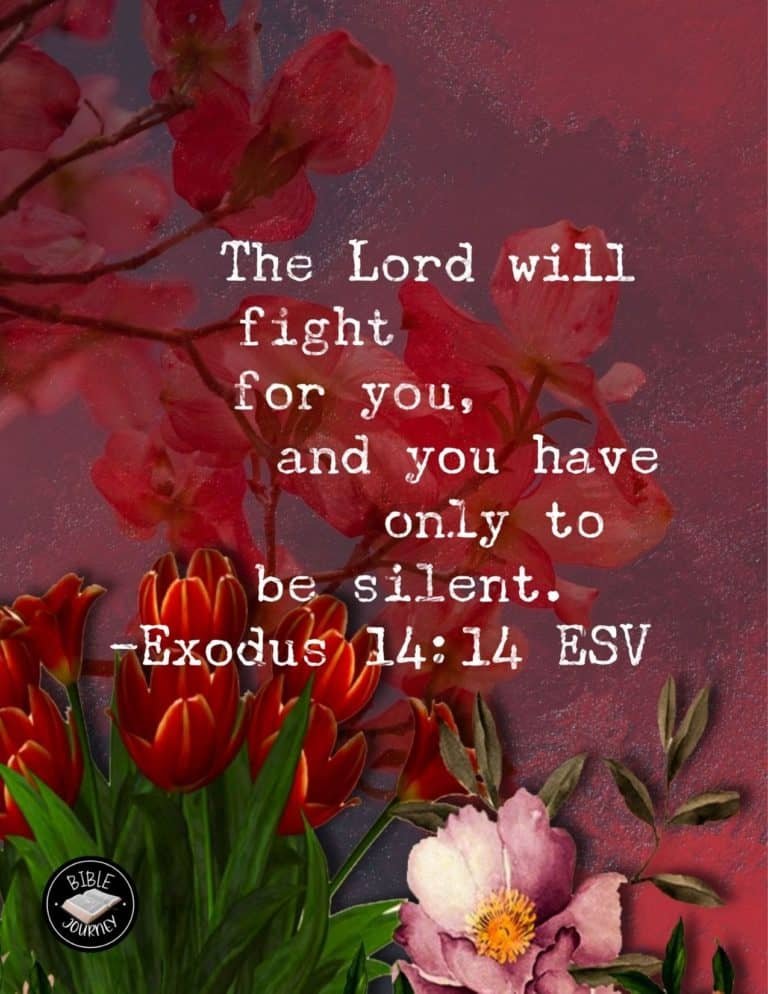 Hundreds of Beautiful Picture Bible Verses-6 Exodus 14:14 ESV Picture Bible Verse