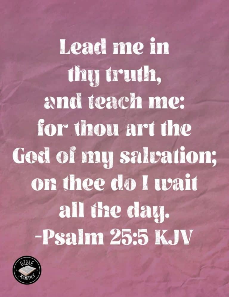 Hundreds of Beautiful Picture Bible Verses-6 Psalm 25:5 KJV - Picture Bible Verse
