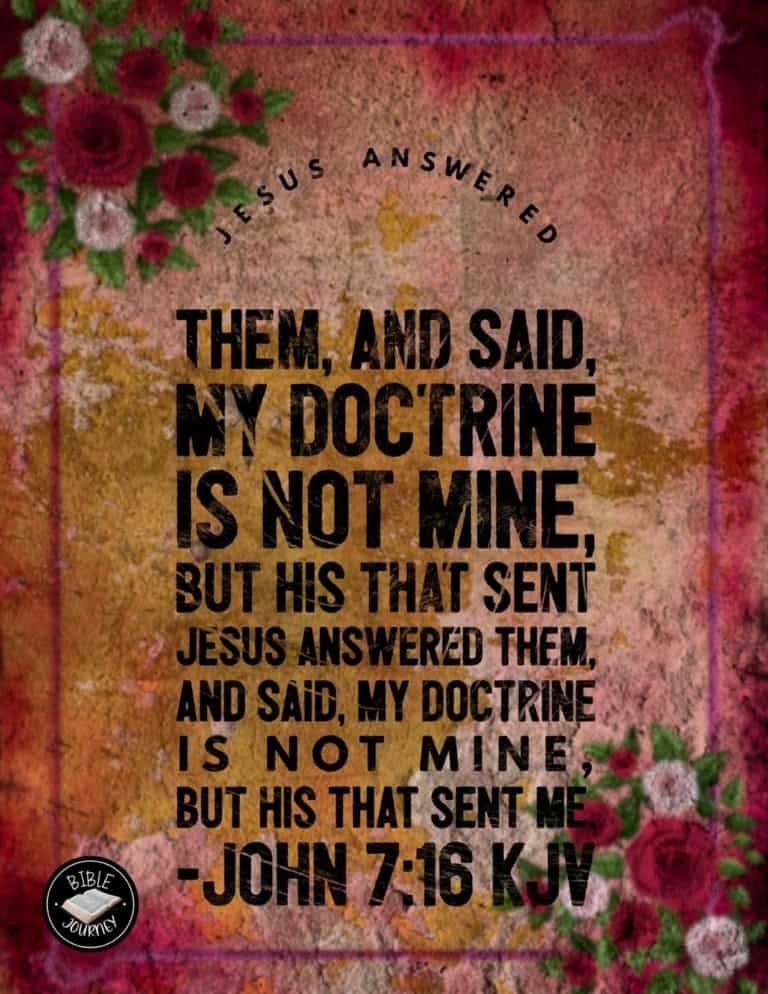 Hundreds of Beautiful Picture Bible Verses-7 John 7:16 KJV Picture Bible Verse