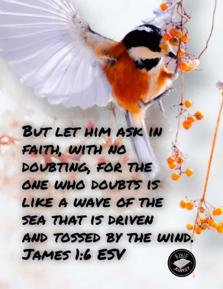 Hundreds of Beautiful Picture Bible Verses-7 James 1:6 ESV Picture Bible Verse