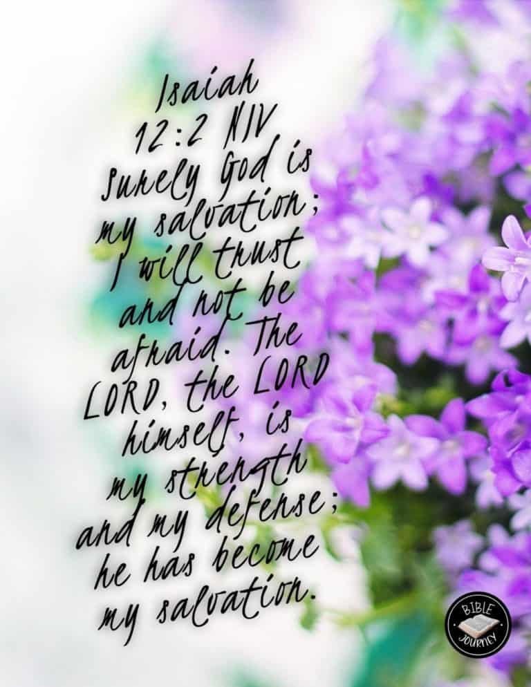 Isaiah 12:2 NIV. Picture Bible Verse