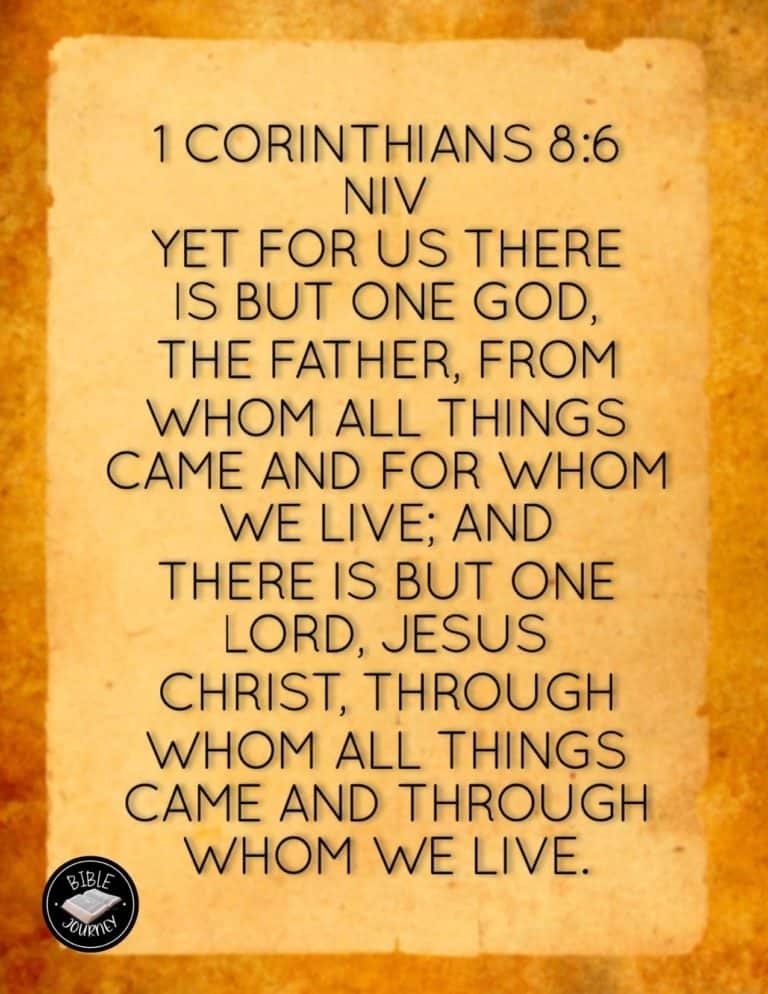 1 Corinthians 8:6 NIV. Picture Bible Verse.