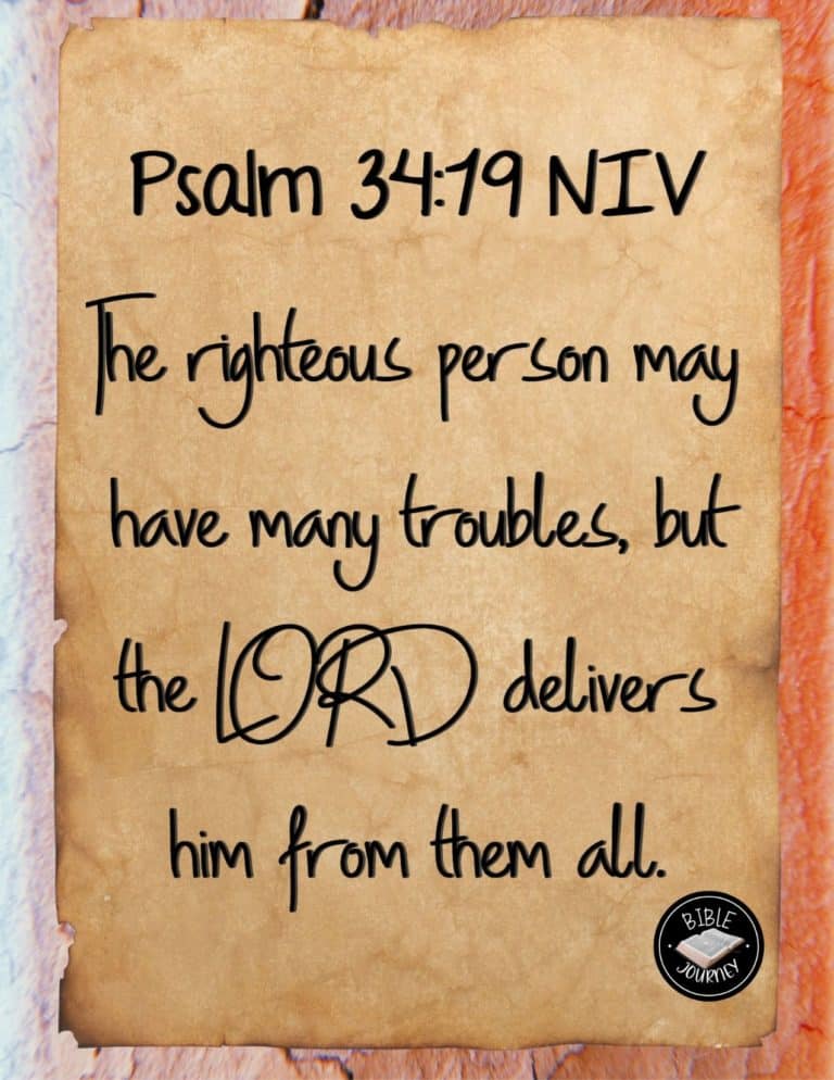 Random Bible Quote - Psalm 34:19 NIV
