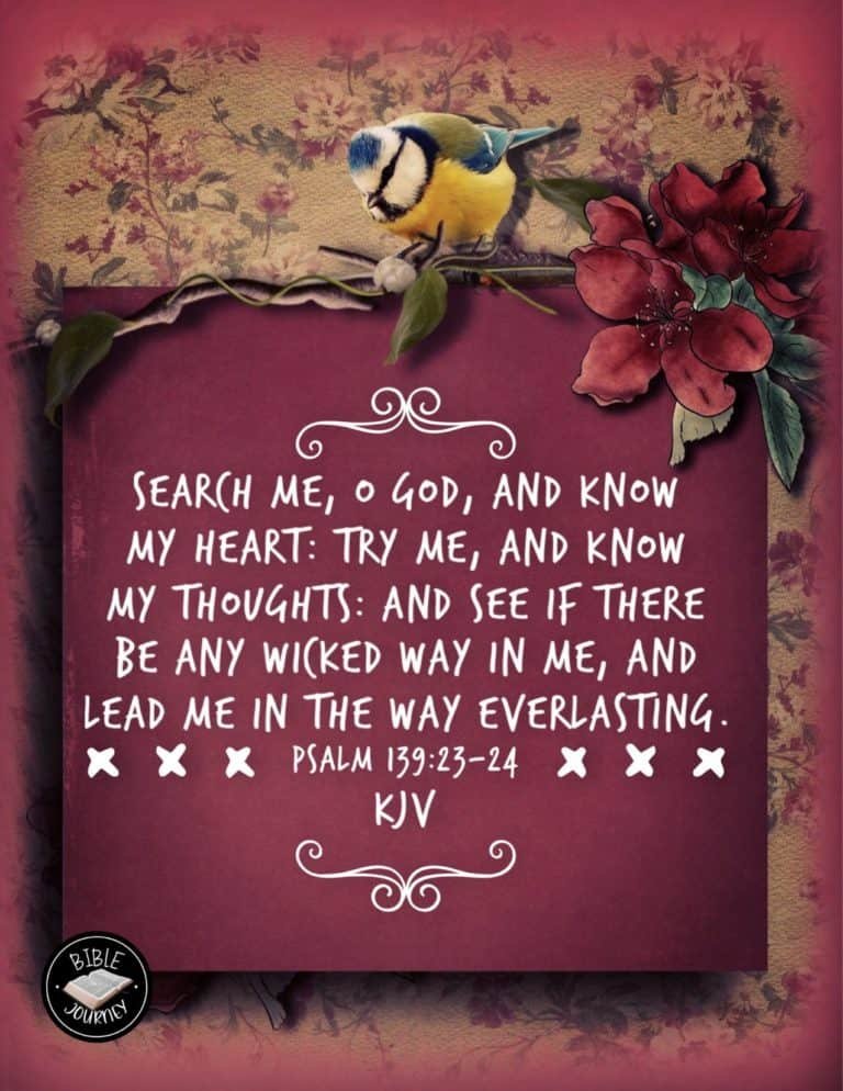 Picture Bible Verses-2 Psalm 139:23-24 KJV Picture Bible Verse