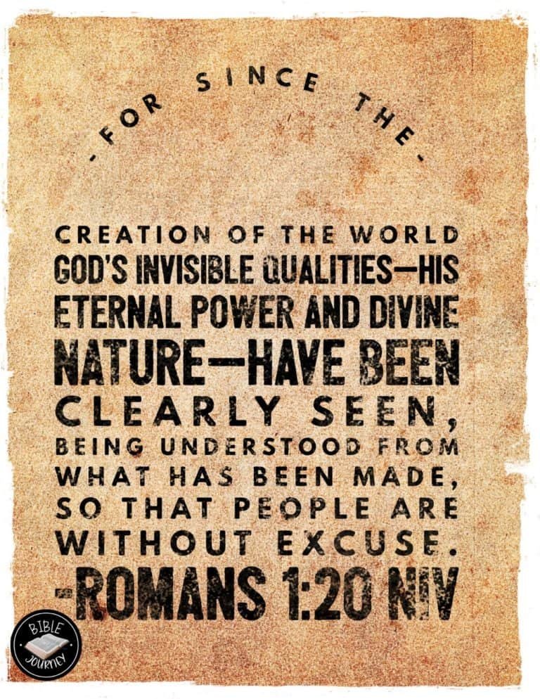 romans 1:20 NIV Picture Bible Verse