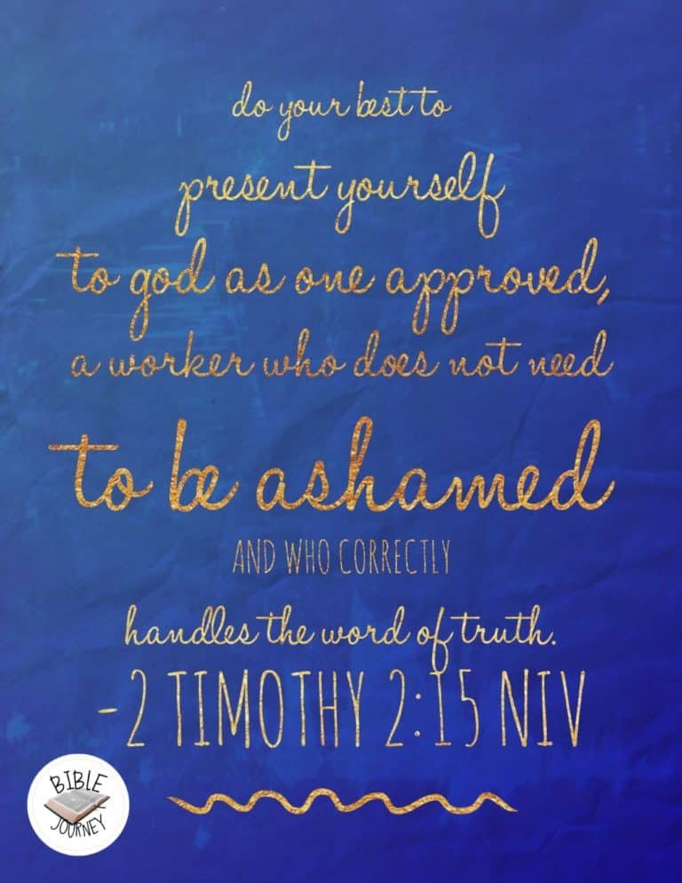 2 Timothy 2:15 NIV Picture Bible Verse
