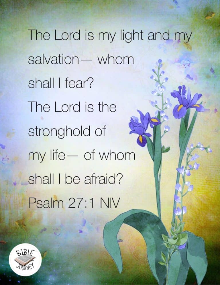 Psalm 27:1 NIV Picture Bible Verse