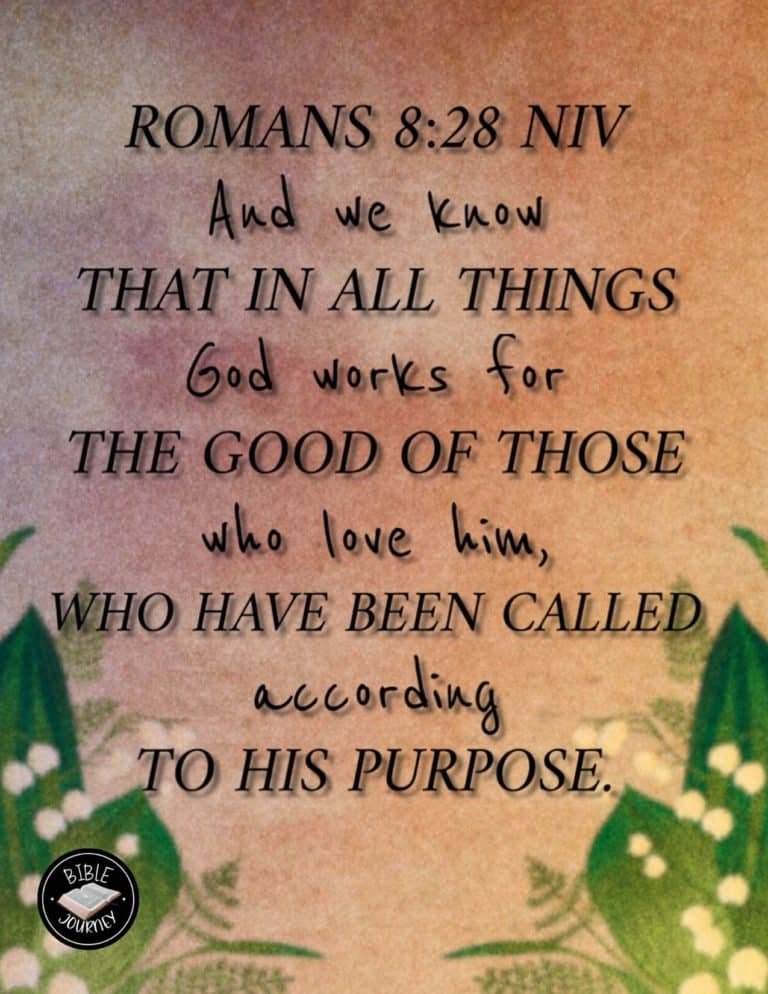 Romans 8:28 NIV Picture Bible Verse