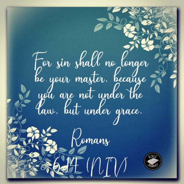Romans 6:14 NIV - For sin shall no longer be your master, because you are not under the law, but under grace.