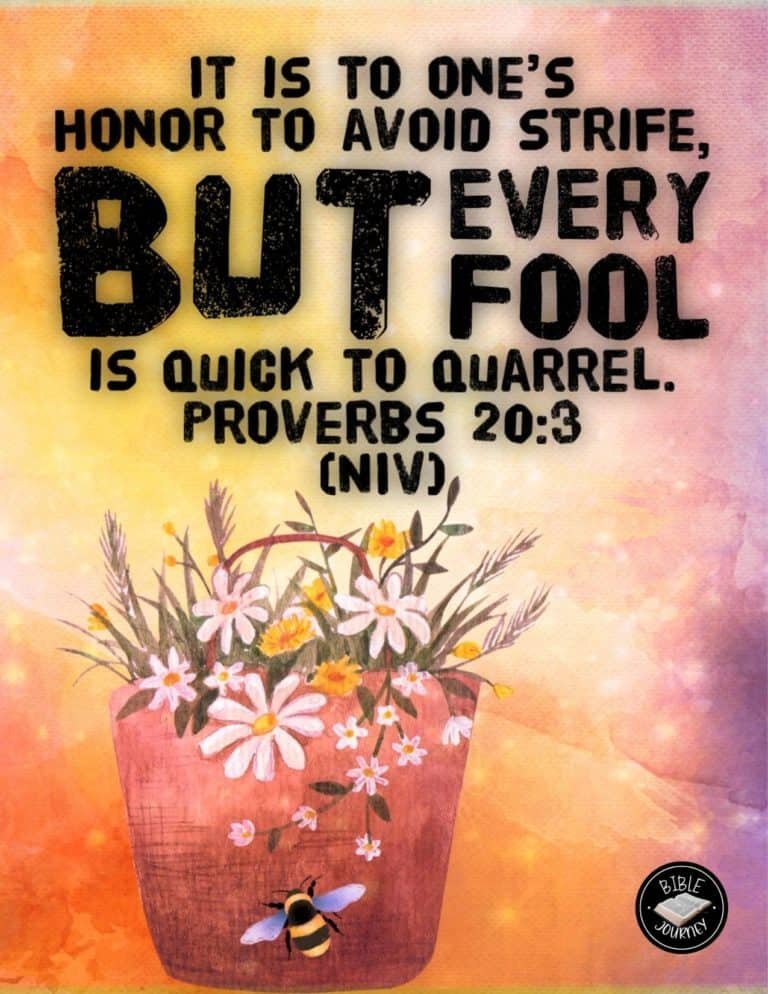 proverbs-20-3-niv-picture-bible-verse