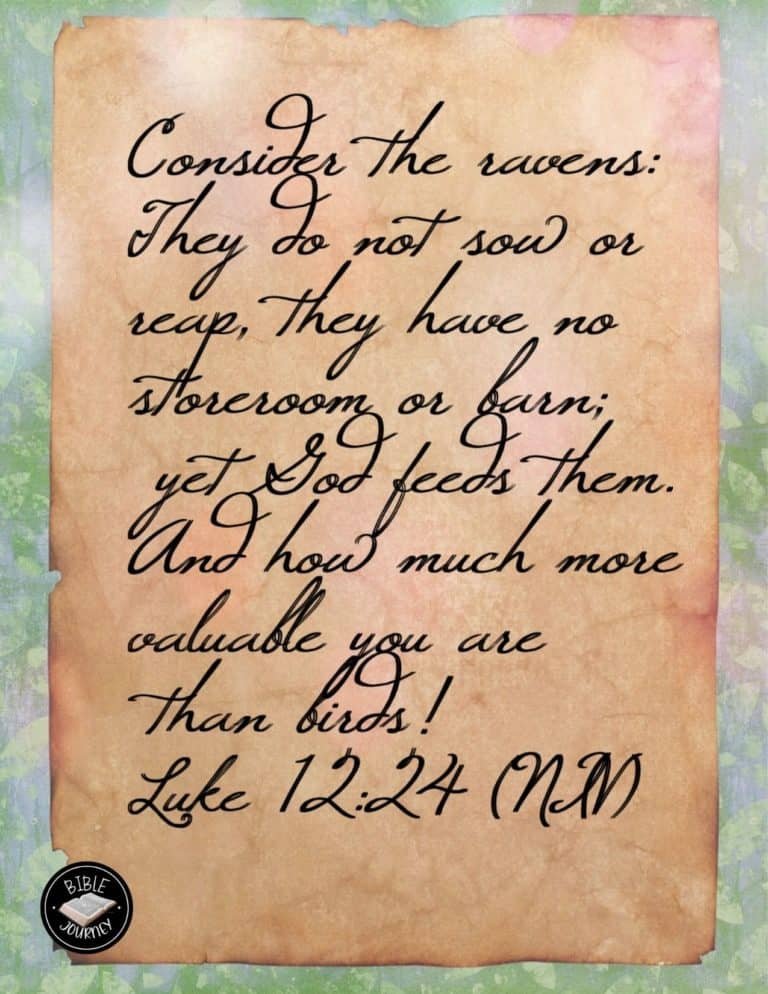 Share a picture bible verse. Use in bible study journals, or make study cards. Postcard sized 4.25x5.5.