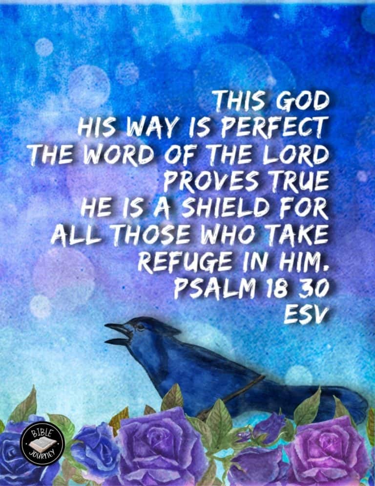 As for God, his way is perfect; the word of the Lord is flawless. He is a  shield for all who take refuge in him. ~Psalms 18:30…