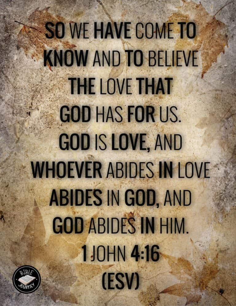 Bible Verse About Love. 1 John 4:16 ESV