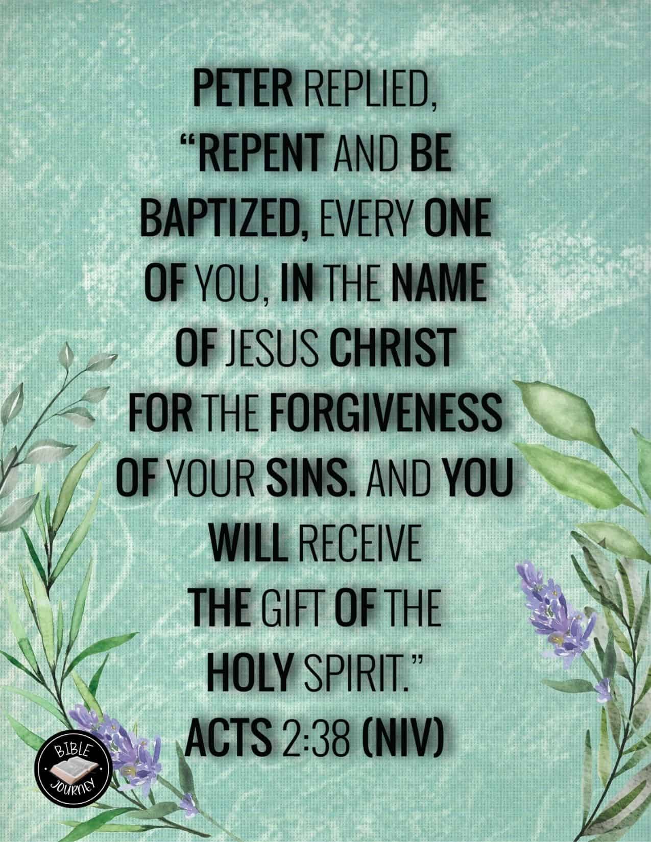 Acts 2:38 NIV - The Gift Of The Holy Spirit