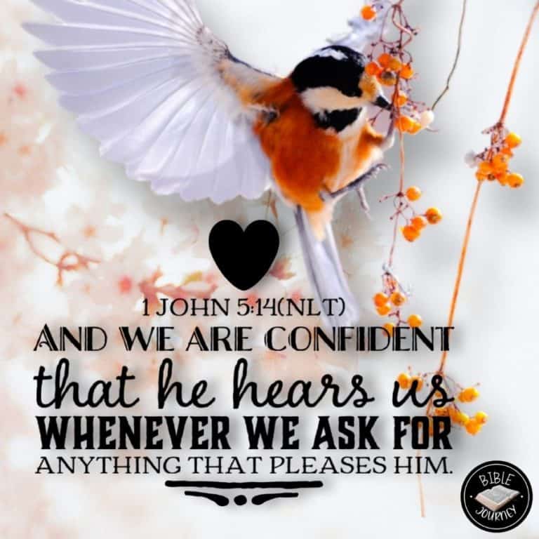 [1 John 5:14 NLT] And we are confident that he hears us whenever we ask for anything that pleases him.
