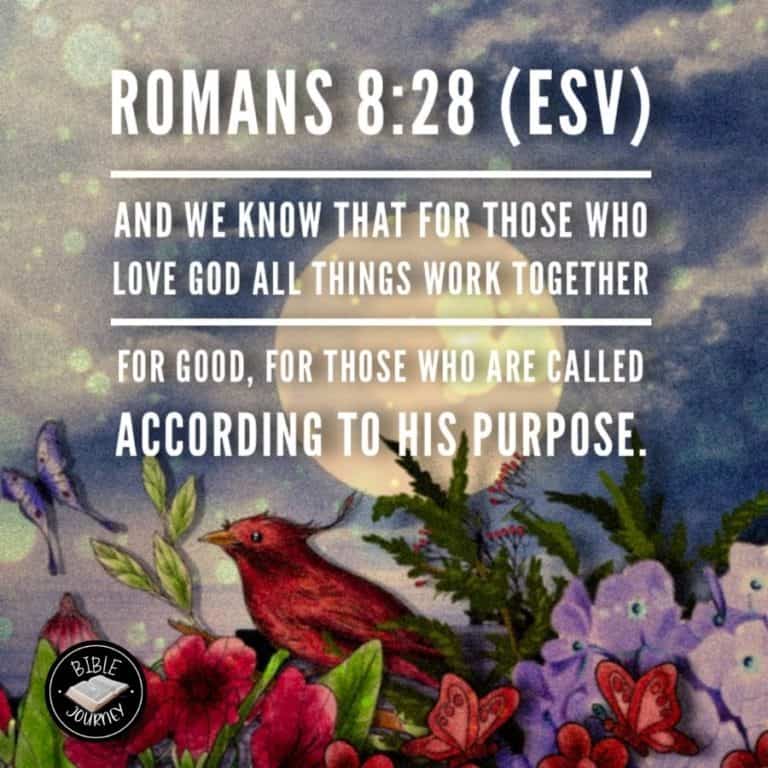 [Romans 8:28 ESV] And we know that for those who love God all things work together for good, for those who are called according to his purpose.