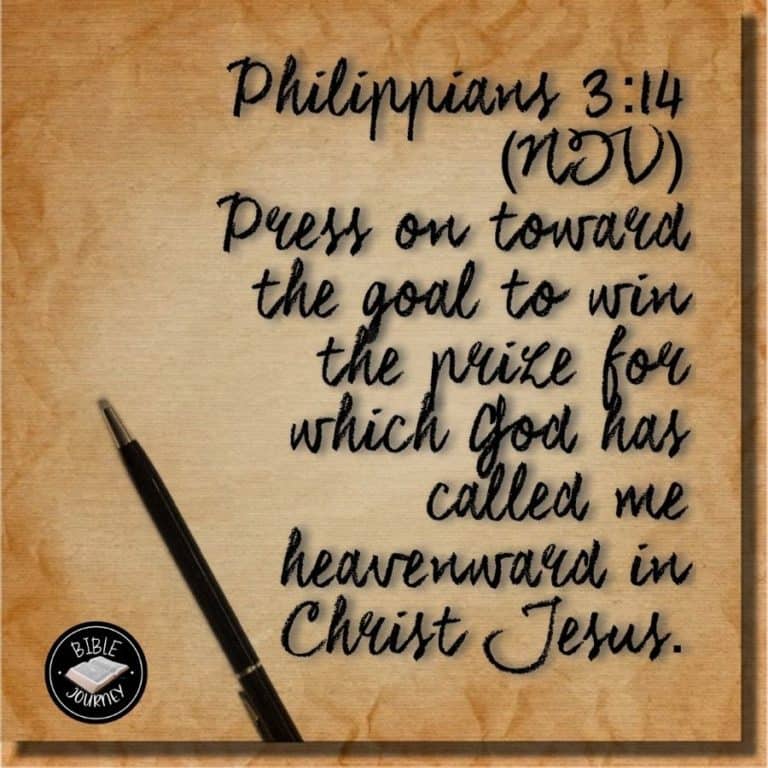 [Philippians 3:14 NIV] I press on toward the goal to win the prize for which God has called me heavenward in Christ Jesus.