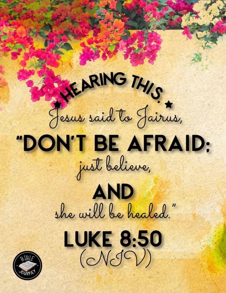 Picture Bible Verses-23 Share a picture bible verse. Use in bible study journals, or make study cards. Postcard sized 4.25x5.5.