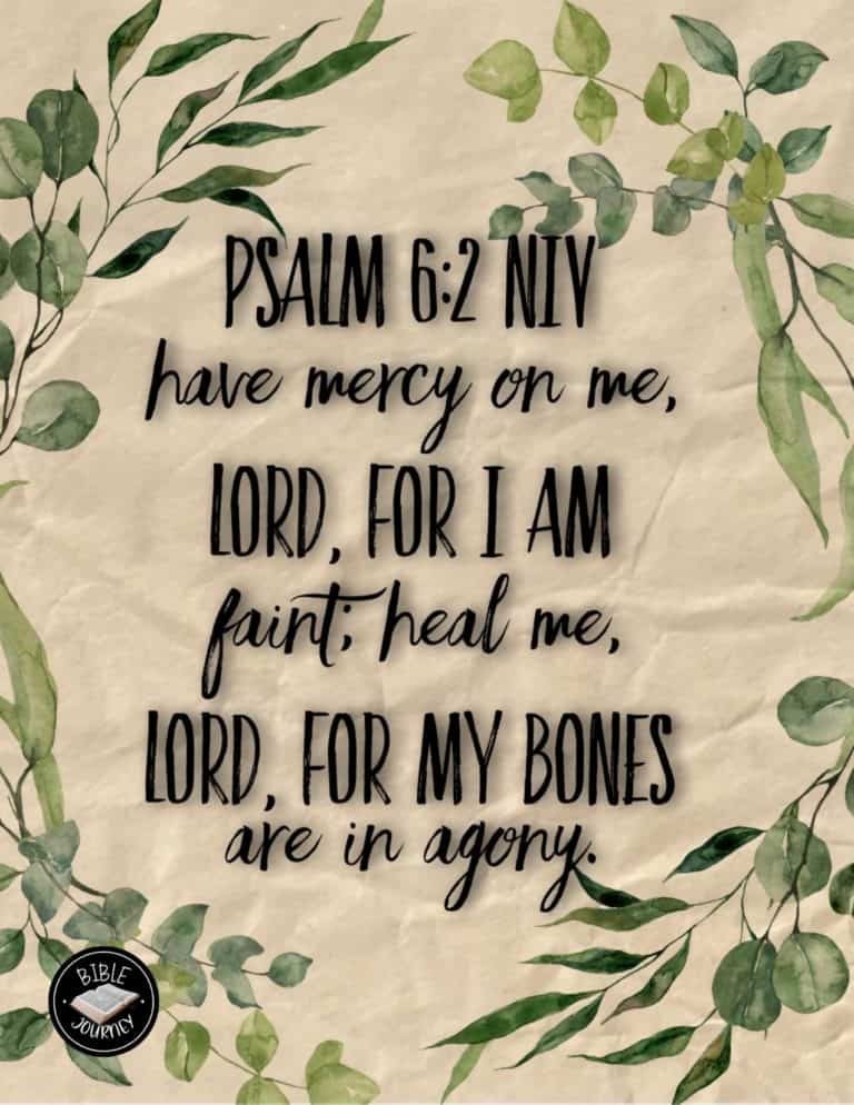 Picture Bible Verses-24 Share a picture bible verse. Use in bible study journals, or make study cards. Postcard sized 4.25x5.5.