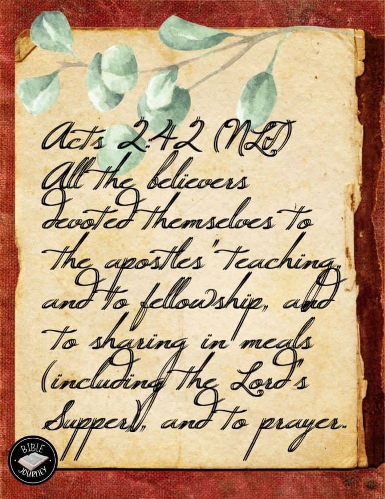 Picture Bible Verses-24 Share a picture bible verse. Use in bible study journals, or make study cards. Postcard sized 4.25x5.5.