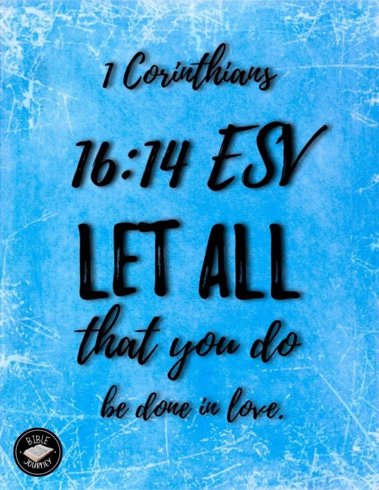 Picture Bible Verses-25 Share a picture bible verse. Use in bible study journals, or make study cards. Postcard sized 4.25x5.5.