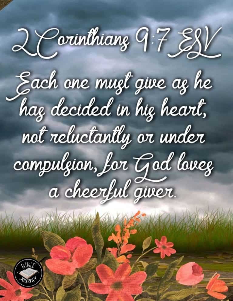 Picture Bible Verses-25 Share a picture bible verse. Use in bible study journals, or make study cards. Postcard sized 4.25x5.5.