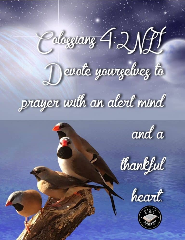 Picture Bible Verses-25 Share a picture bible verse. Use in bible study journals, or make study cards. Postcard sized 4.25x5.5.
