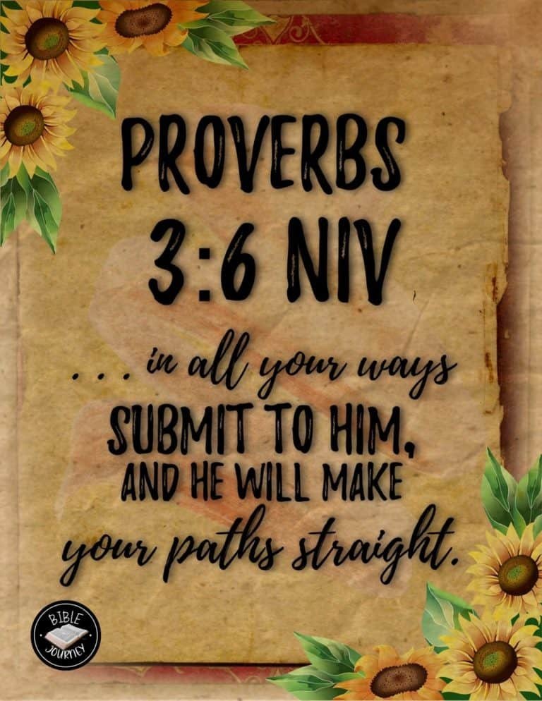 Picture Bible Verses-26 Proverbs 3:6 NIV - Bible Verse Image