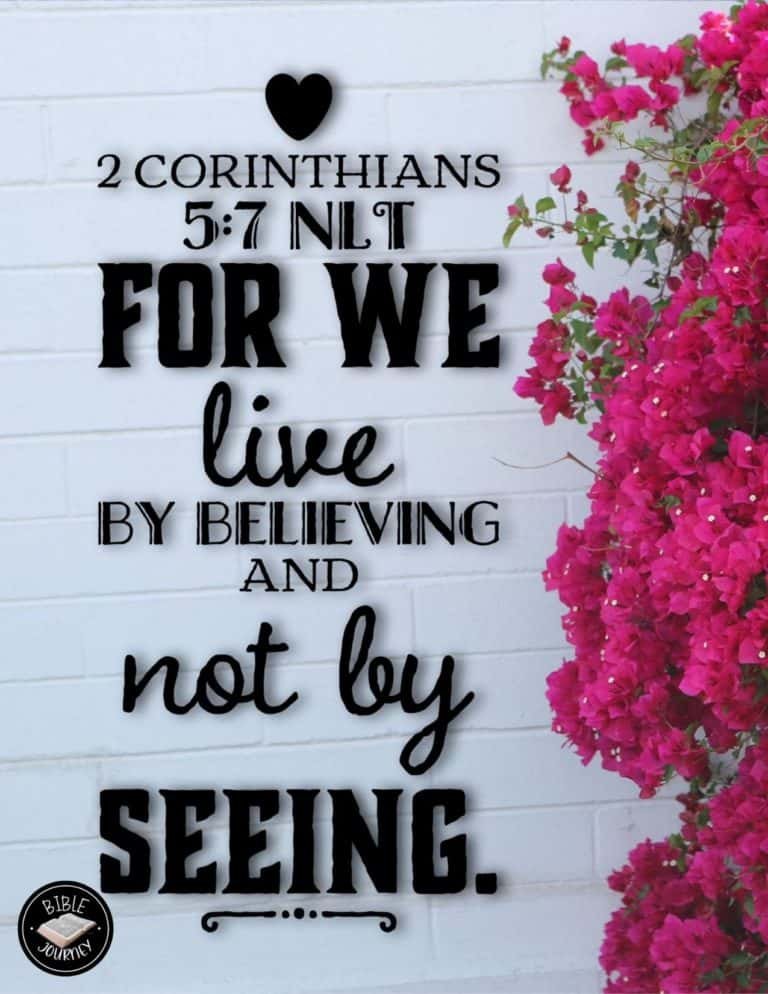 Picture Bible Verses-19 Share a picture bible verse. Use in bible study journals, or make study cards. Postcard sized 4.25x5.5.